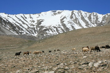 Pamir region Russian Federation Central Asia mountain landscapes