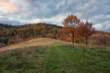 Autumn Landscape with Field Path and Cloudy Sky