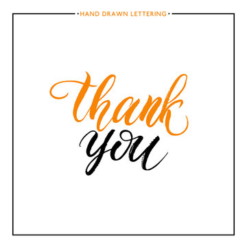 Thank you text isolated on white background, hand painted letter, vector lettering for greeting card, poster, banner, print, handwritten calligraphy