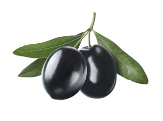 Glossy black olives on branch isolated on white background