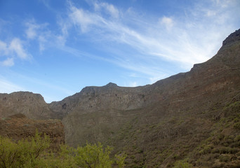 Gran Canaria,  Guayadeque ravine