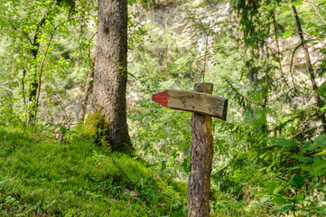 Cartello sentiero nel bosco