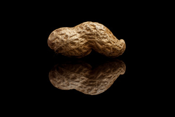 Macro view of the one whole peanut isolated on black reflective background