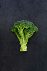 Green broccoli on dark gray slate background