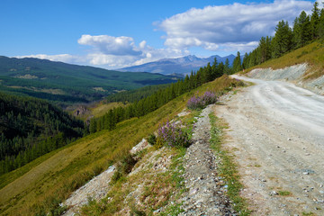 Fototapeta na wymiar Mountain road in Ulagan Highlands to Katu-Yaryk pass in Altai