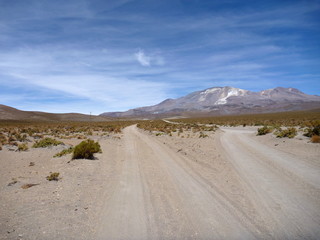 road to volcan isluga at chilean altiplano