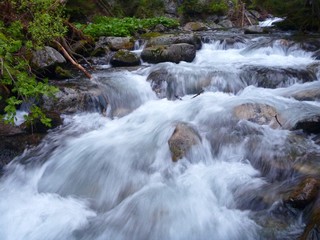 Obraz premium beautiful clean mountain creek flowing over rocks