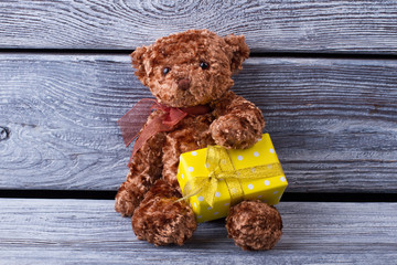 Cute teddy bear with a gift. Yellow gift box from bears in his a