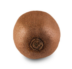 One fresh kiwi isolated on white background