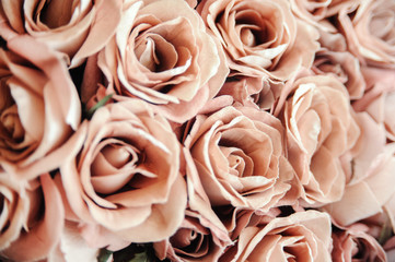 roses flowers in vintage color style for romantic background.