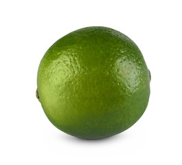 One fresh green lime citrus closeup isolated on white background