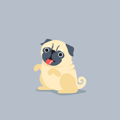 Cartoon character pug dog poses. Cute Pet dog in the flat style.