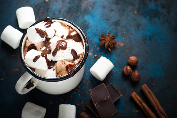Hot Chocolate with marshmallow in the mug. Hot winter drink.