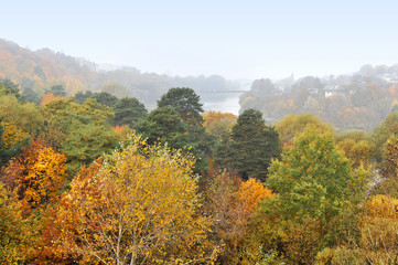 Obraz premium Panoramic view of autumn deciduous forest with red, yellow and green trees. Misty haze on the horizon.