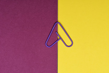 Colour decorative paper clip
