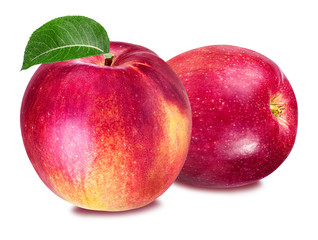 Fototapeta na wymiar apple isolated on white