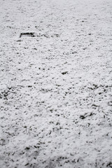 Snowfield nature field