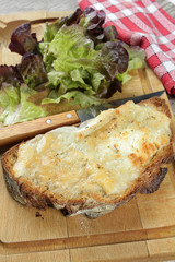 tartine au fromage 02112016