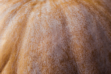 pumpkin texture, close-up, macro, yellow pumpkin on wooden background,  autumn pumpkin harvest