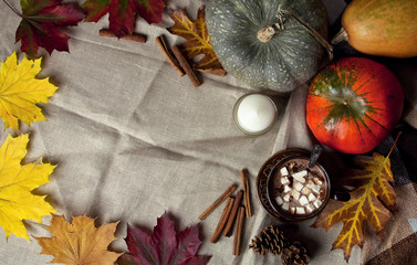 Горячее какао с маршмэллоу, корицей и тыквой