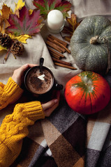 Горячее какао с маршмэллоу, корицей и тыквой