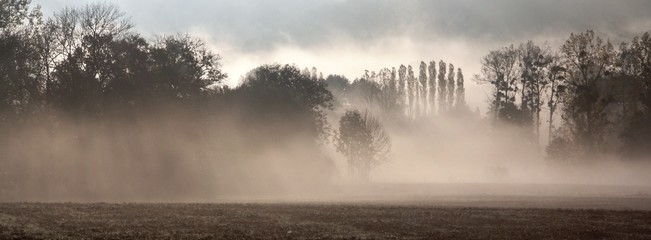 Fototapeta premium brumes matinales