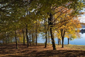 Fototapeta premium Herbst am Biggesee