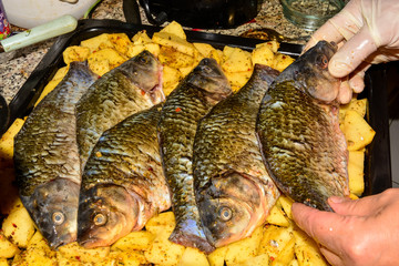 Close-up of female hands holding fresh fish crucian carp with potatoes cooked barbecue