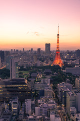 Obraz premium 東京タワーの夕景