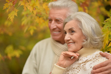 Beautiful happy middle-aged couple in the autumn park