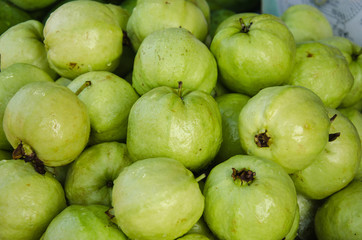 Fresh guava fruit