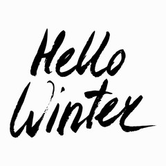 Hello Winter Collection text. Vector. Lettering. Drawing by hand. Caption brush. Letters.