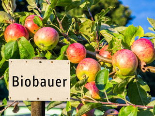 Schild Biobauer