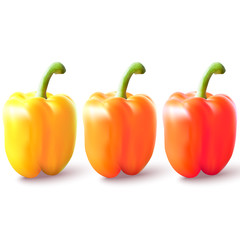 Set of realistic, delicious, natural peppers: yellow, orange and red. Isolated on white background. Vector illustration