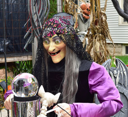 Fortune teller Halloween decoration