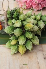 Bitter melon and sliced on wood background.