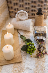 SPA cream palette vertical file