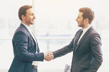 Two handsome colleagues shaking hands in an office.