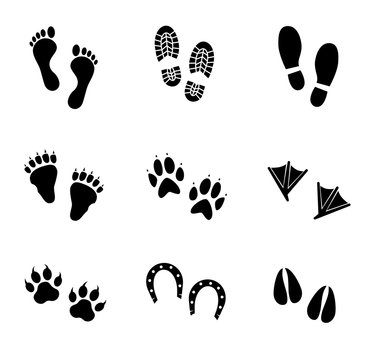 Footprints vector icon set.