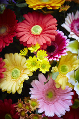 Flower arrangement  