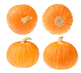 four small yellow pumpkins on white
