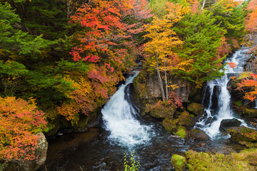 Autumn Colors and Ryuzu waterfall