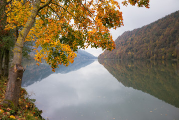 An der Donau im Herbst