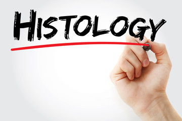 Hand writing Histology with marker, concept background