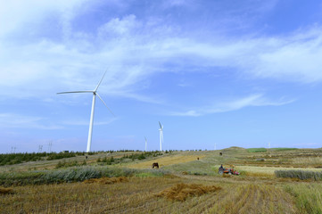 The windmill