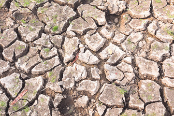 Surface of a grungy dry cracking parched earth for textural background.