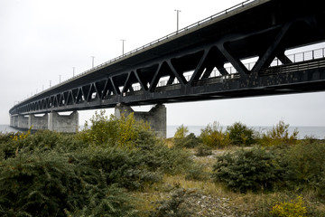 The Bridge 4