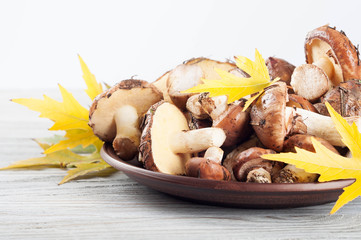 Mushrooms in a clay plate.