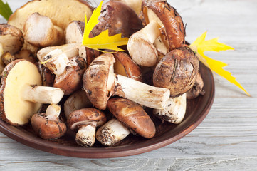 Mushrooms and leaves in a clay plate.
