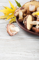 Mushrooms and leaves in plate.